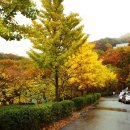 (주)캠비 네이버블로그