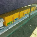 선진 양봉장 이미지