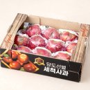사과