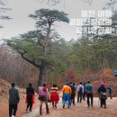 왕피천힐링팜 | 울진 여행, 왕피천힐링팜 숲치유관광 1박2일 후기