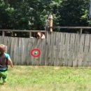 옆집강아지 이미지