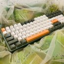 F96 이미지