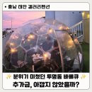 태안 펜션 추천｜갤러리펜션 내돈내산 후기, 추가금 내고 이용한 투명돔 바베큐