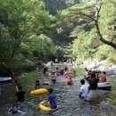남천1리 솔밭공원 | 단양 남천계곡서 31일부터 3일간 물놀이 축제