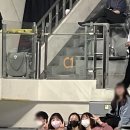 볼사이팅 이미지