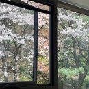 난곡로 | 신림 봉천 베이커리 카페 아래로 ㅣ통창뷰 테라스 대형카페 페스츄리 솔직후기