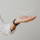 똘똘한 몇 종목이 수익률을 끌어올린다. 지난 10년 시총...