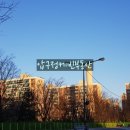 압구정-103 이미지