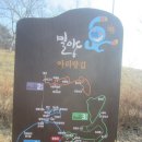 전도연미장원