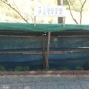 인삼랜드(하)주유소 이미지