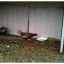 행복한신선농장 이미지