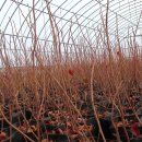 에덴농원 이미지