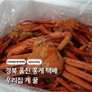 후포리 | 경북 울진 홍게 택배 우리집 게 꿀 산지직송 후포리 맛집 추천 후기