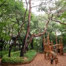 동산 티스토리