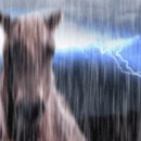 행복한세상 우리들약국 | ohhappyday(just wish)