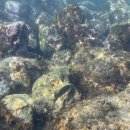 GS25신촌포구점 이미지