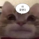 타이어스태프 | 스키즈 100m 안으론 가지 않겠습니다✋️ (스키즈 도미네이트 앙콘 후기)