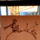 아르볼꼴렉 이미지