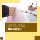 연세본정형외과의원 이미지