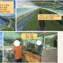 유상준농장 이미지