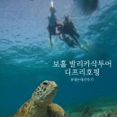 신나는머리나라 | 보홀 발리카삭 호핑투어 디프리호핑 대대만족 내돈내산 후기