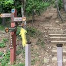 황령산 등산 후기 초보자도 가능할까? 소요시간·난이도 리뷰 (전포 출발)