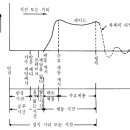 제동거리와 정지거리가 같은 말인가???? 이미지