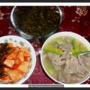 황제메밀 이미지