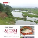 석교천 이미지