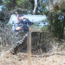 동막농장 이미지