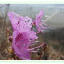 양선농장 이미지