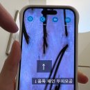 동래 두피관리 올가드림뷰티 미남점 두피디톡스 두피관리 후기