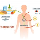 올바른PT 이미지