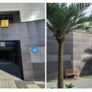 아리아펫 이미지