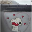 자연로하스 이미지