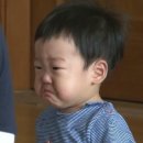 해말금