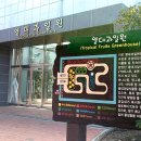 과일원