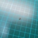 부흥로315번길 18 이미지