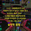 고고핏다이어트 네이버블로그