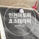 인천아토피 효소찜질 하러 어린아이들 많이 찾아 오는 금화효소원