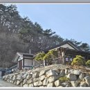 개구리민박 이미지