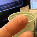 연세선우의원 이미지