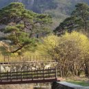 상천리 마을회관 이미지