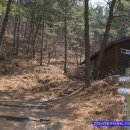 동백 태양광발전소 이미지