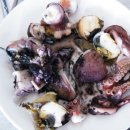 호리바다펜션 이미지