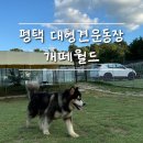 개떼월드 이미지