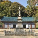봉산면006 Daum카페