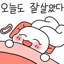 한옥달팽이민박 이미지