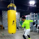 월곶 복싱체육관 이미지