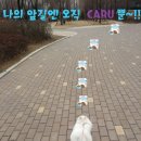 (주)이-글벳 이미지